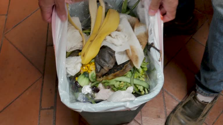 Trusted Gueydan, LA Junk Removal Services Experts